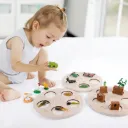 Science and Education Cognitive Toys 0.4 Simulation Insect Animal Plant Model Life Growth Cycle Young